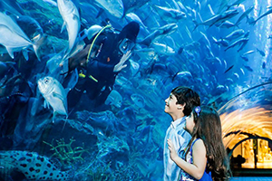 dubai-kids-go-packages